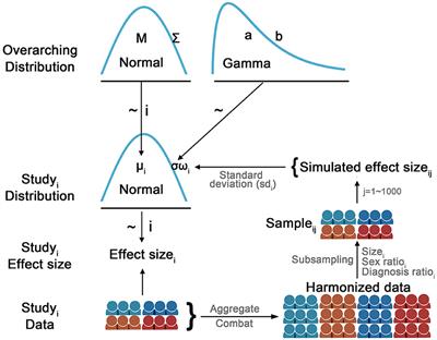 Recalibrating single-study effect sizes using hierarchical Bayesian models
